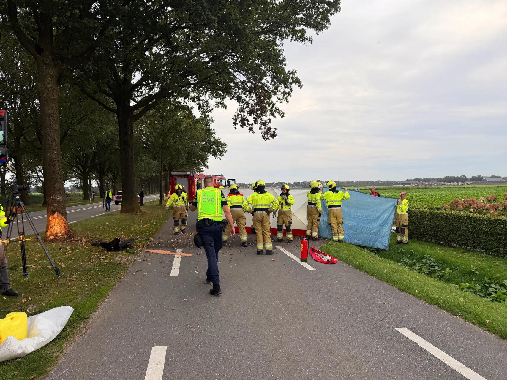 Automobilist op boom in Odiliapeel
