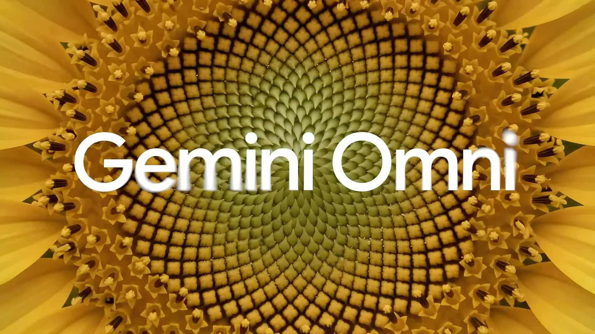Google Gemini Omni