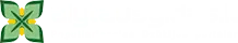 Alytausgidas.lt