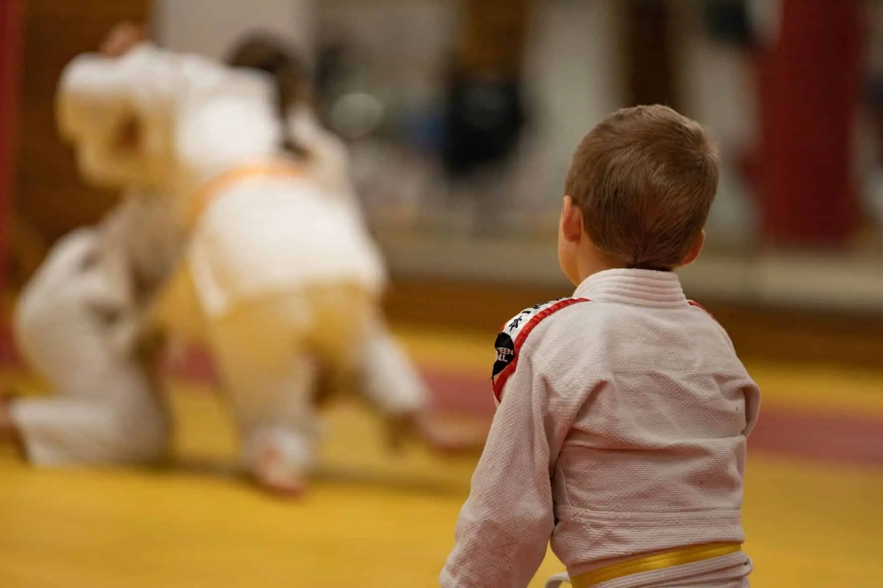 4 karate burelis