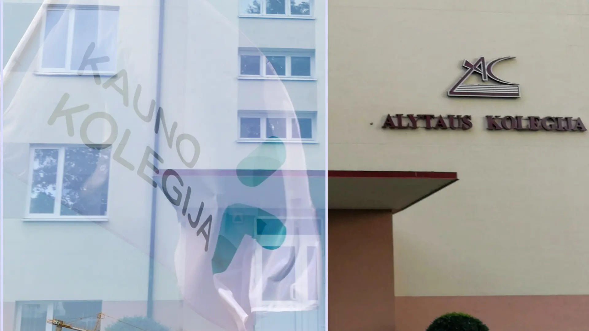 alykaukol0p