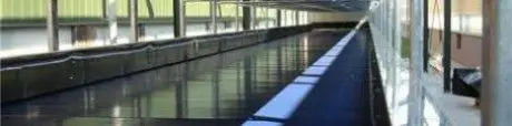 alytausgidas 00000022