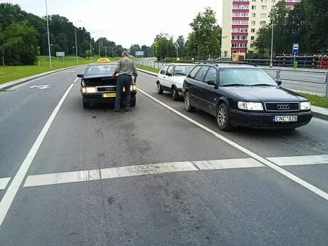 alytausgidas 017