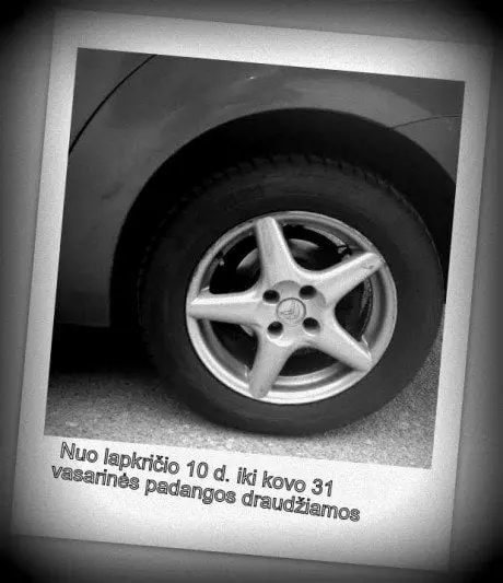 alytausgidas 1 padangos1