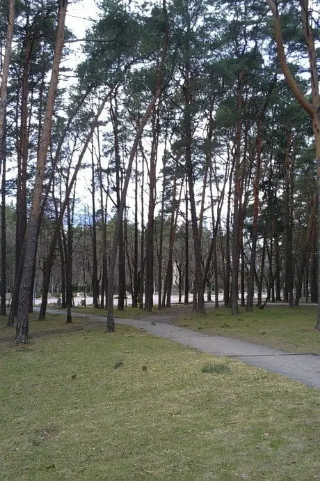 alytausgidas 201104102451