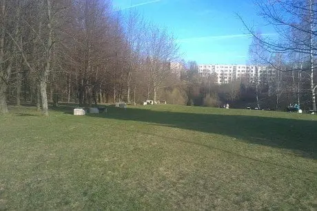 alytausgidas 201104208991