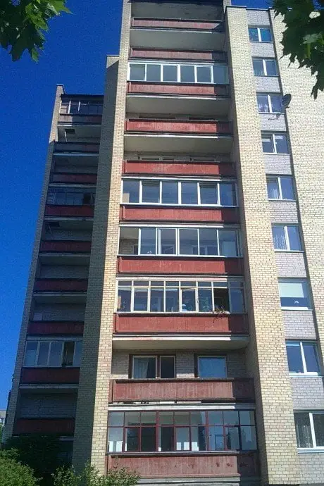 alytausgidas 20110530939