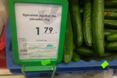 alytausgidas 201106083801