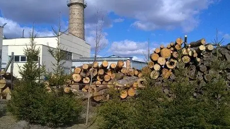 alytausgidas 20120331209