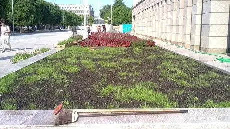 alytausgidas 20120522839