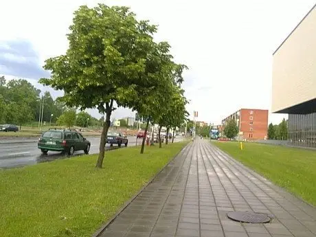 alytausgidas 201205281011