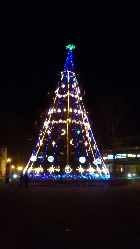 alytausgidas 201211306781
