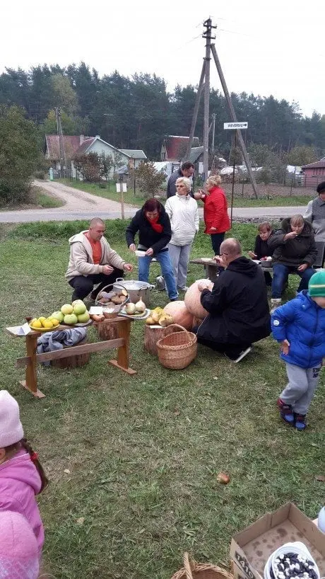 alytausgidas 20151017 1533121