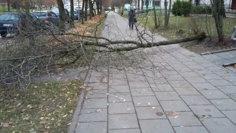 alytausgidas 20151109 080132 1