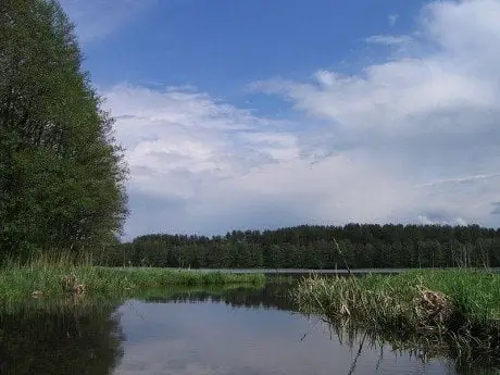 alytausgidas 800px varene varenis1