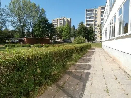alytausgidas ambc466754 153134808153148 316001620 o1