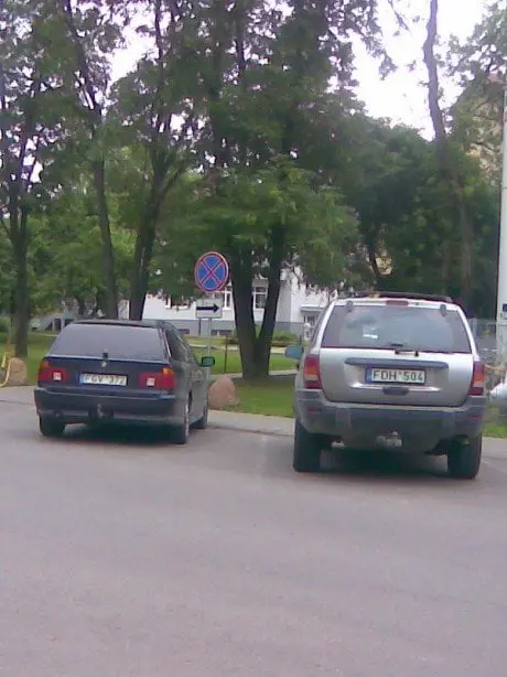 alytausgidas atvaizd0014