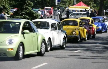 alytausgidas auto rokasmedonis1