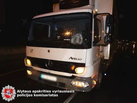 alytausgidas av12