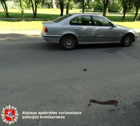 alytausgidas avar stat1