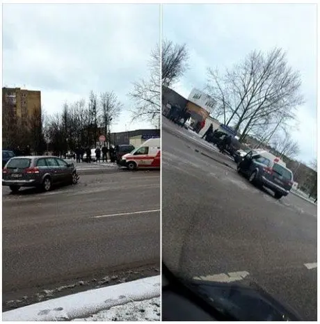 alytausgidas avar vidz