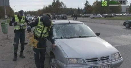 alytausgidas avarcit1