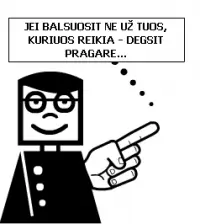 alytausgidas balsavimas1