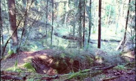 alytausgidas bernpart1