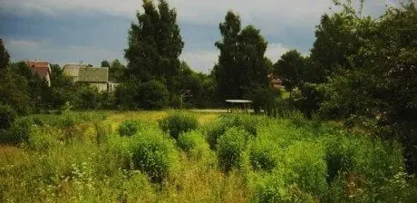 alytausgidas berzeli1