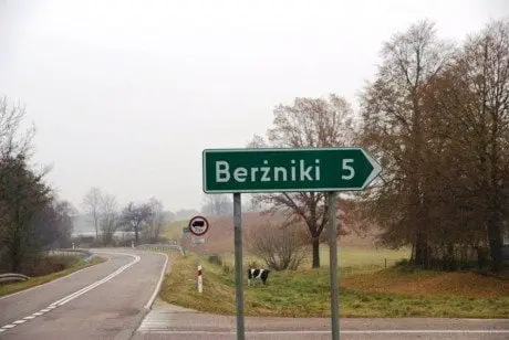 alytausgidas berzniki