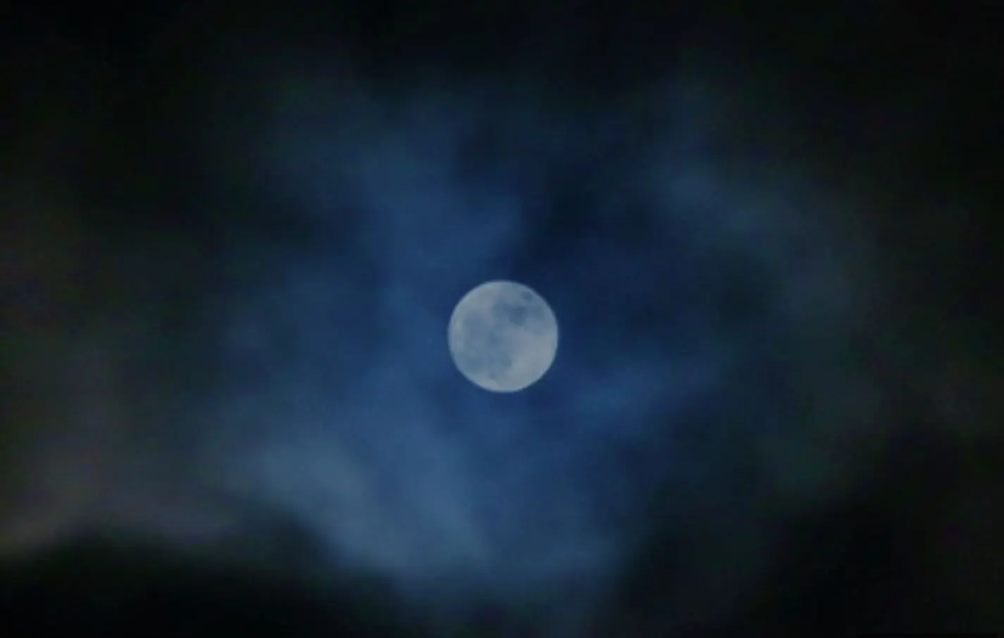 alytausgidas bloomoon