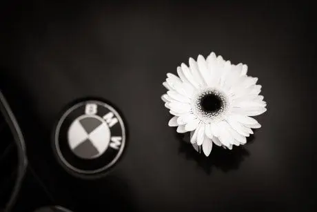 alytausgidas bmwirgalfoto1