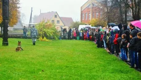alytausgidas butridog1