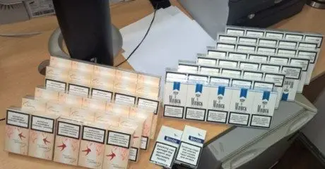 alytausgidas cigsli1