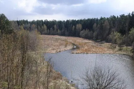 alytausgidas dailide1