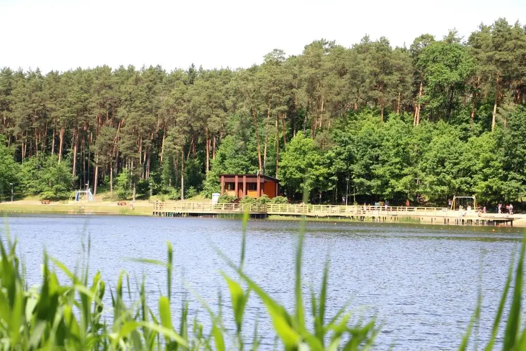 alytausgidas dailide