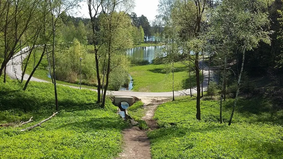 alytausgidas dailidi