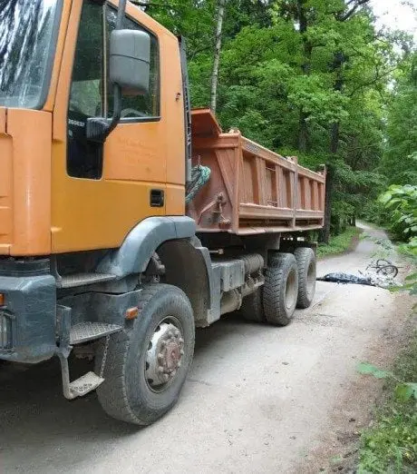 alytausgidas dain dvi1