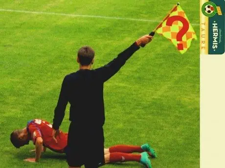 alytausgidas dain teis1