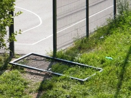 alytausgidas daintvo