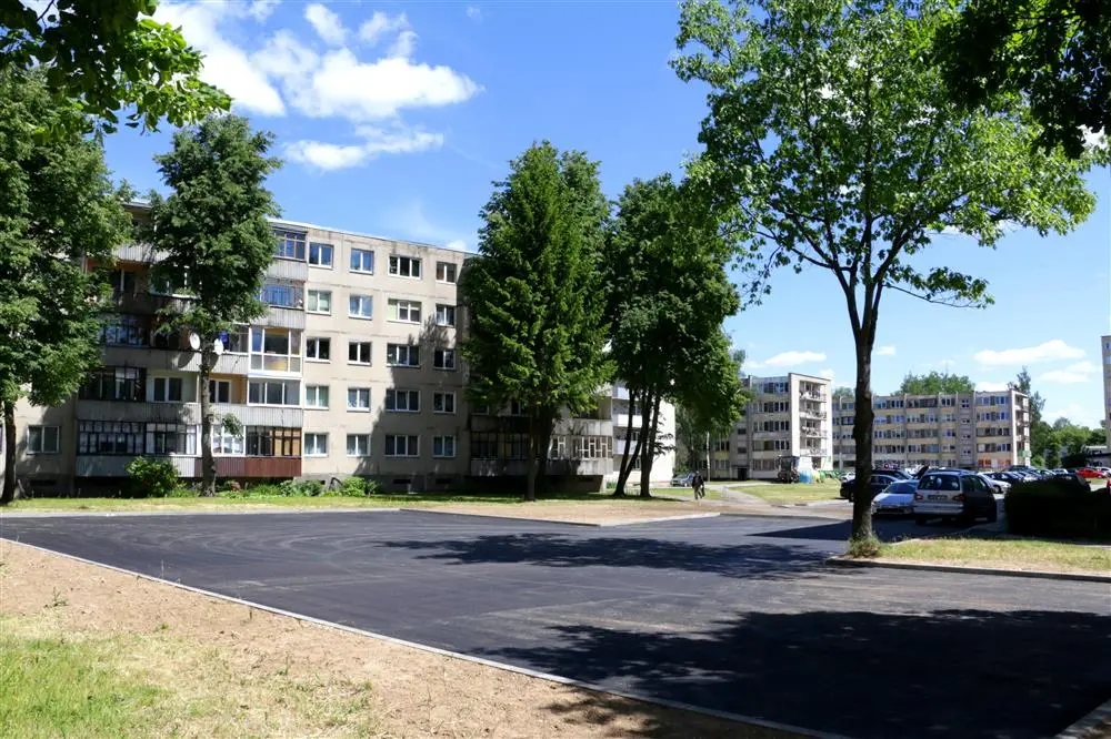 alytausgidas dalinis dalyvavimas