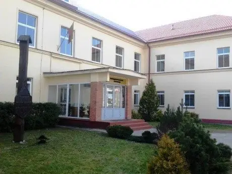 alytausgidas daug vlado mirono gimnazija1