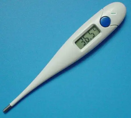 alytausgidas digital thermometer1