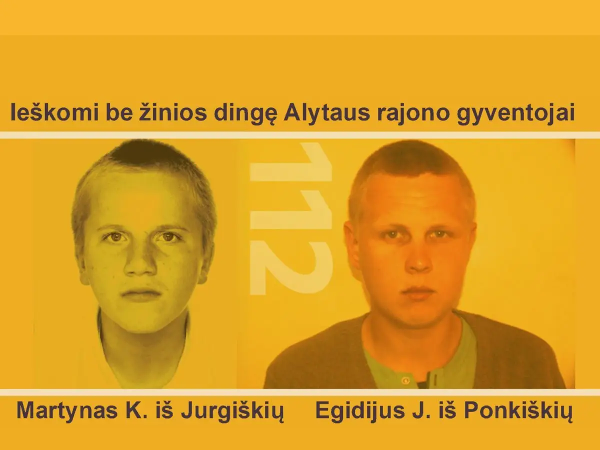 alytausgidas dingoraj