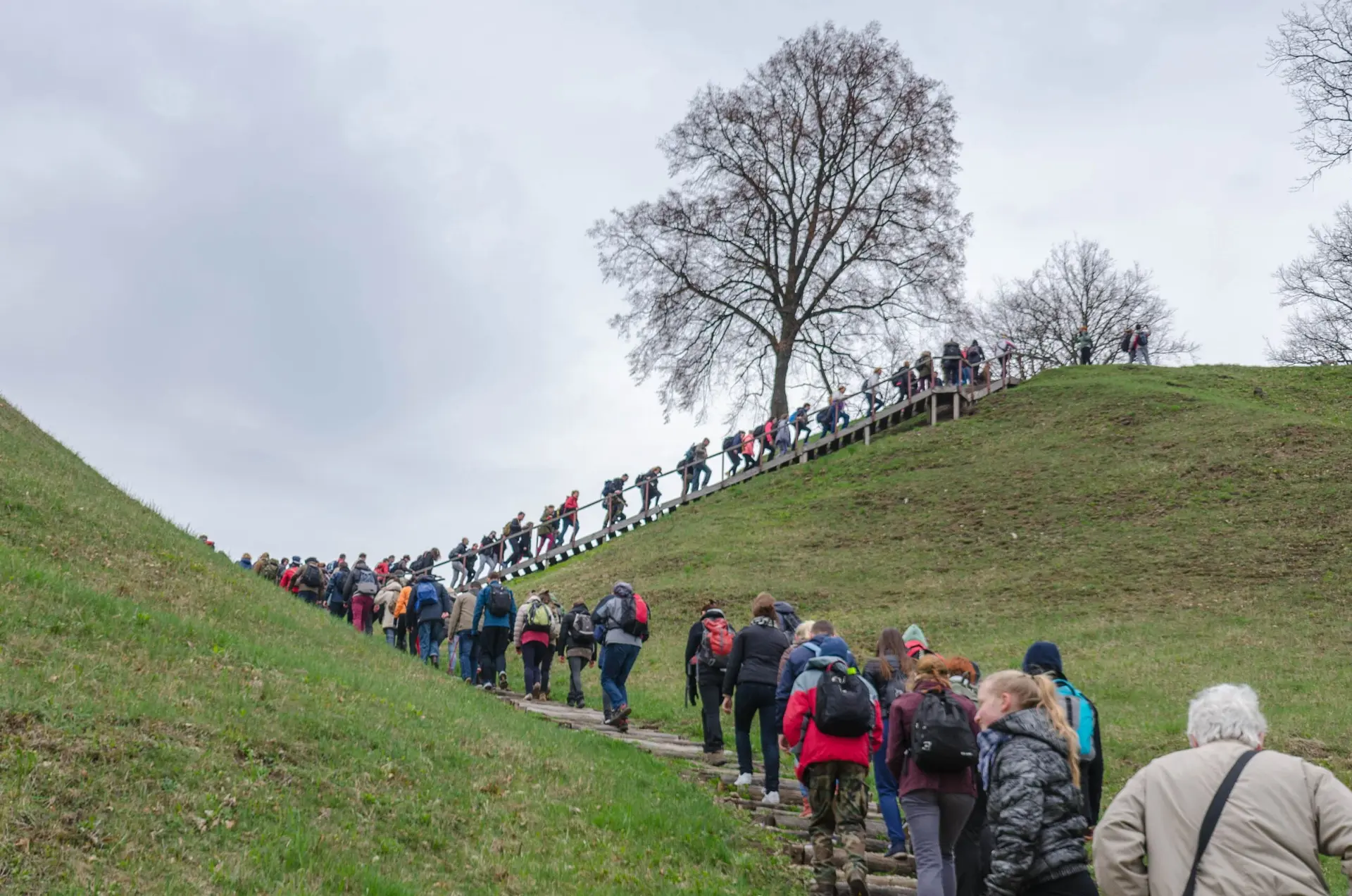 alytausgidas dsc 1741 1