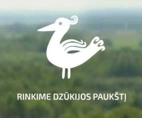 alytausgidas dzukijos paukstis baneris 3001