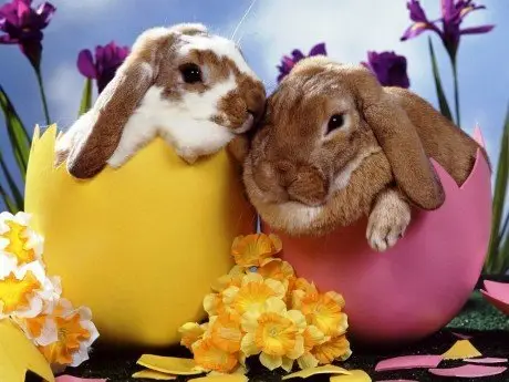 alytausgidas easter wallpaper1