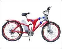 alytausgidas electric bicycle ty b010 1