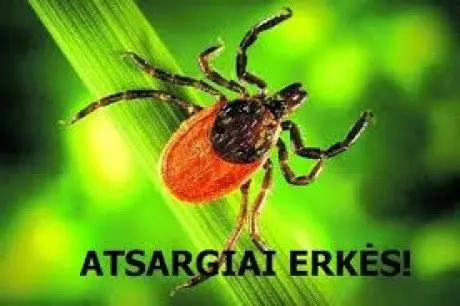 alytausgidas erkes3