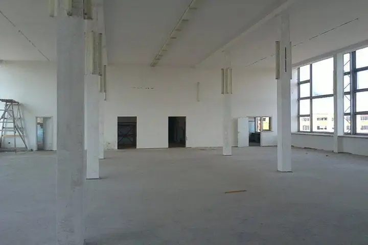 alytausgidas ex mesa detroit